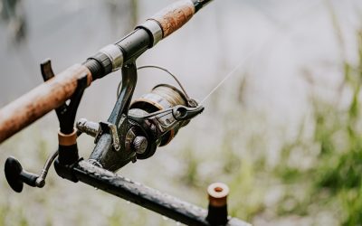5 Essential Fishing Tips for Beginners