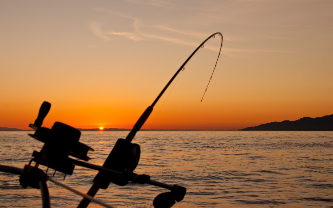 Fishing Methods that All Fishers Should Know